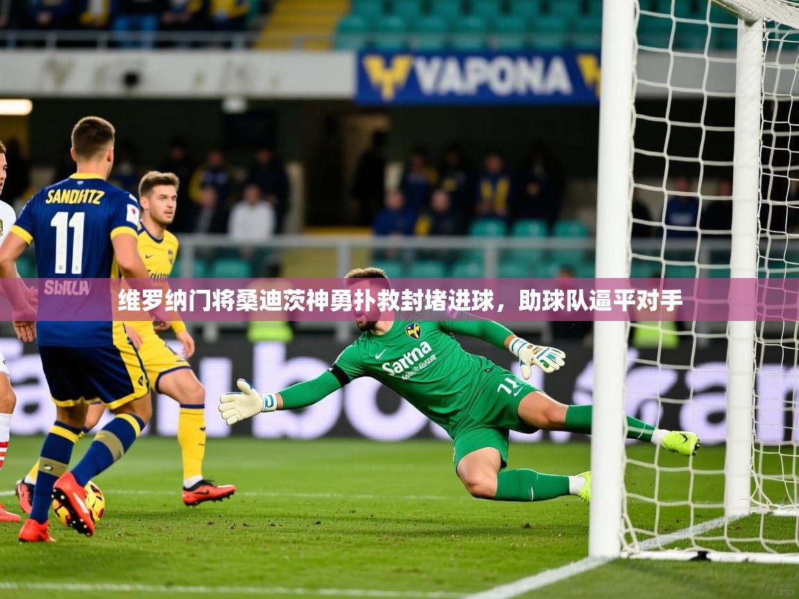 维罗纳门将桑迪茨神勇扑救封堵进球,助球队逼平对手 维罗纳门将桑迪茨神勇扑救封堵进球,助球队逼平对手