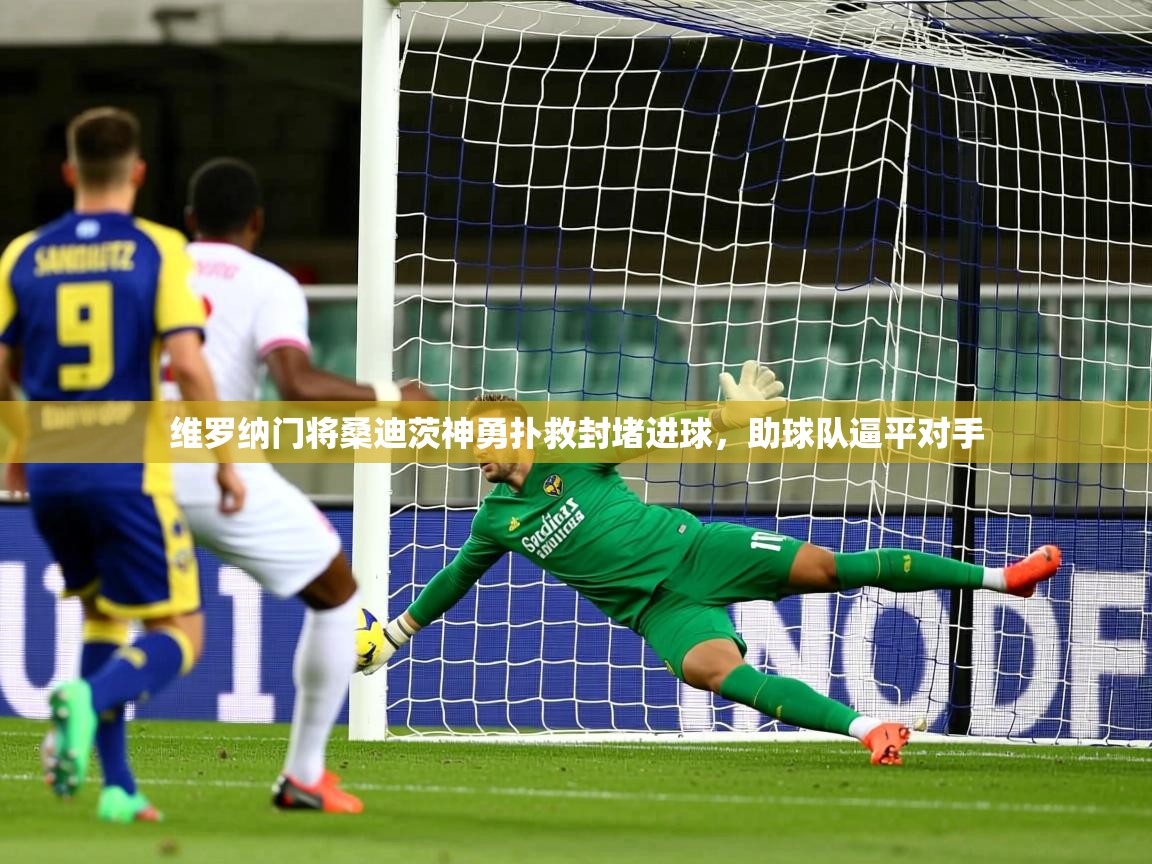 维罗纳门将桑迪茨神勇扑救封堵进球,助球队逼平对手 维罗纳门将桑迪茨神勇扑救封堵进球,助球队逼平对手