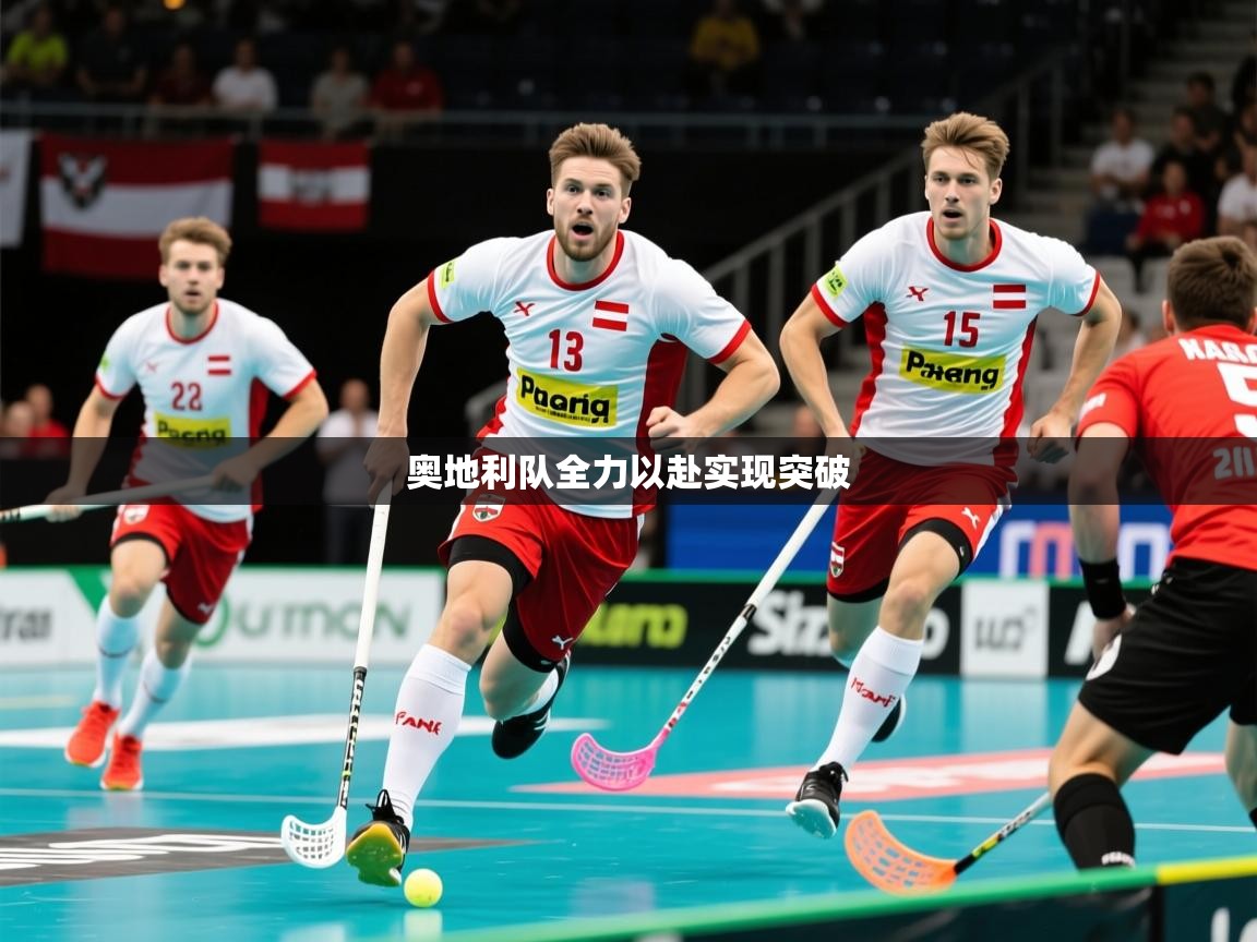 奥地利队全力以赴实现突破