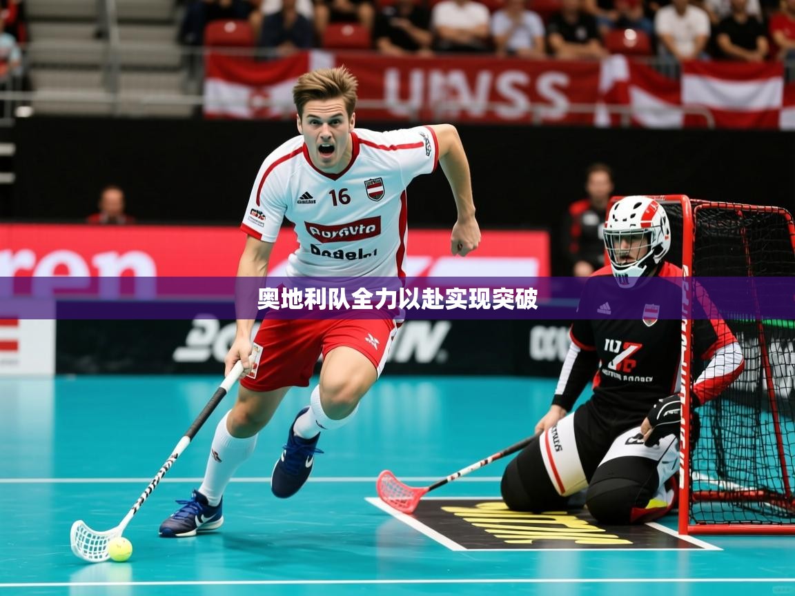 奥地利队全力以赴实现突破