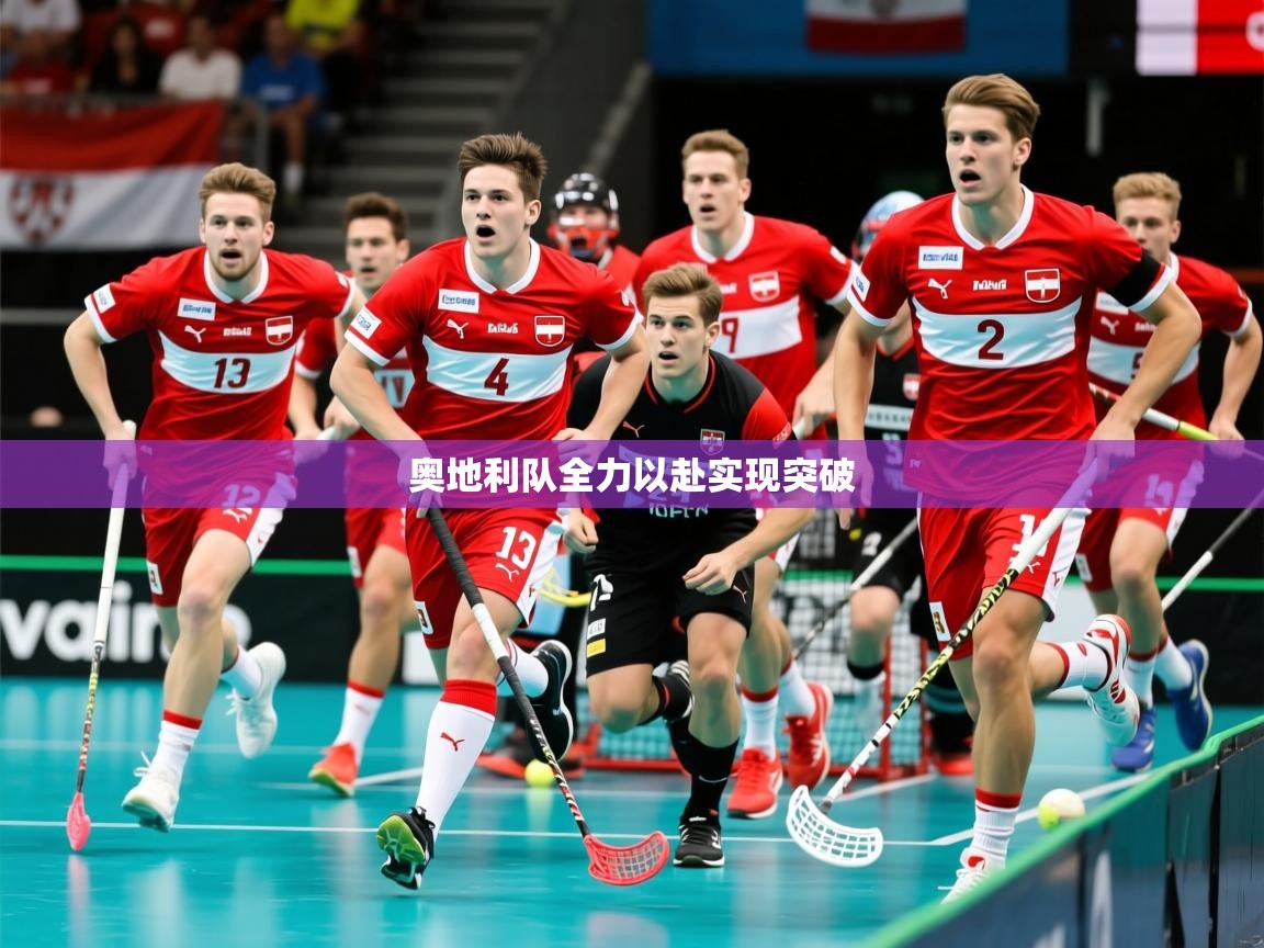 奥地利队全力以赴实现突破
